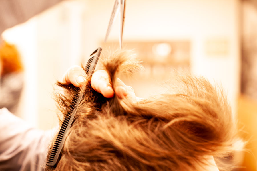 dino-il-parrucchiere-taglio-capelli-dettaglio